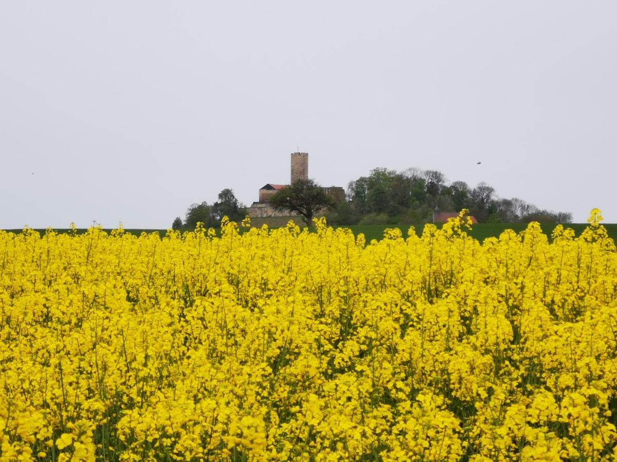 Im Herzen Des Kraichgaus 1 Ostringen Luaran gambar